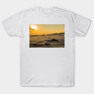 Sand shells T-Shirt